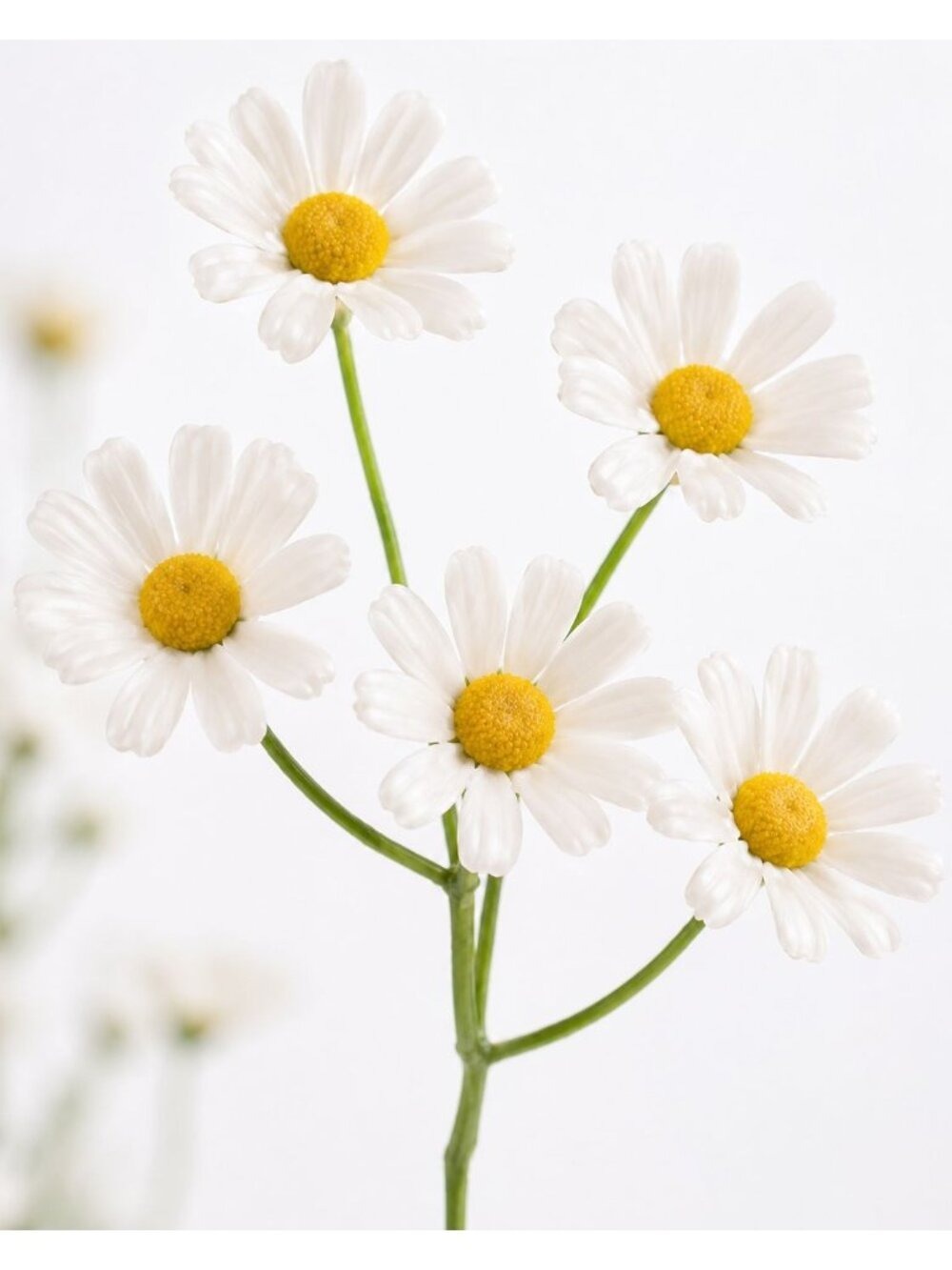 White Daisy Stems Artificial Flowers 10 Count - Picture 11 of 12
